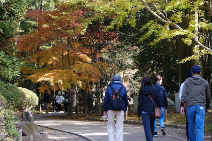 Japonya'da Sonbaharın En Güzel Hali resmi