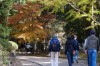 Sonbaharda Japonya'nın En Güzel Hali resmi