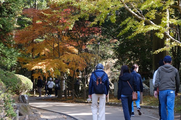 Sonbaharda Japonya'nın En Güzel Hali resmi