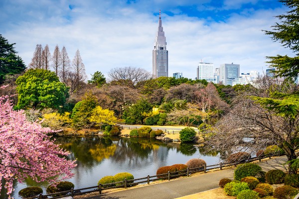 Sonbaharda Japonya'nın En Güzel Hali resmi