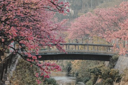 Explora III ile Çin, Japonya & Hong Kong resmi