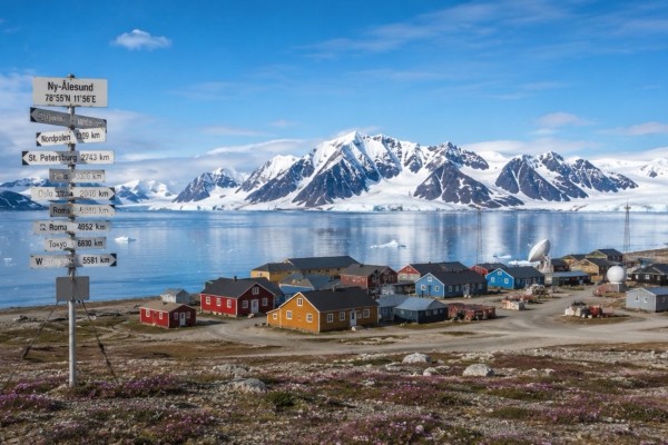 Kutup Ayılarının Krallığı: Svalbard resmi