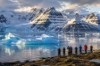 Kutup Ayılarının Krallığı: Svalbard resmi