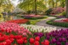 Lalelerin İzinde Hollanda resmi